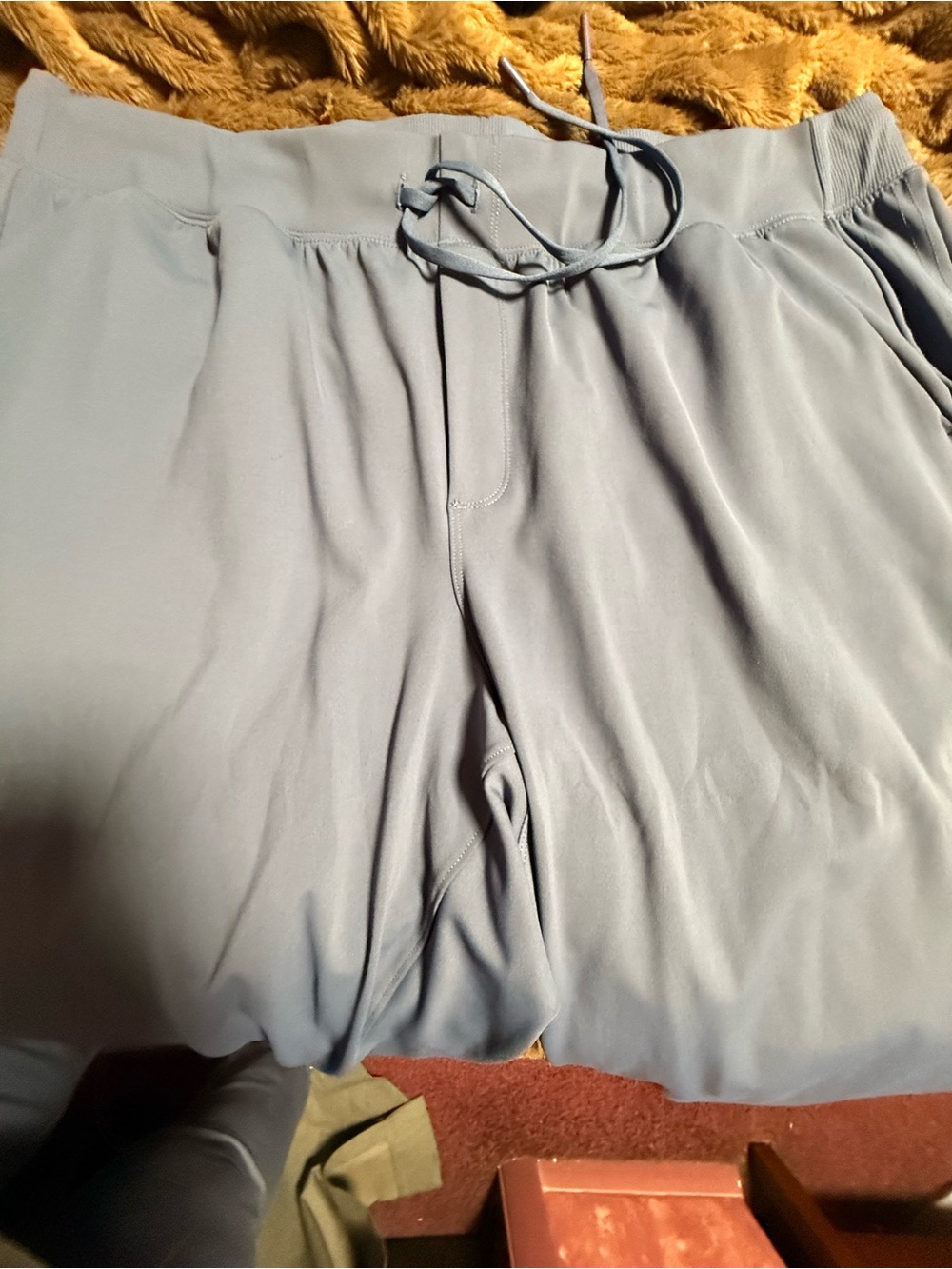 Lane Bryant Light Blue Pull-On Capris